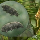 Imagen para el artículo titulado Hallan una nueva especie de tardígrado fosilizado en un trozo de ámbar